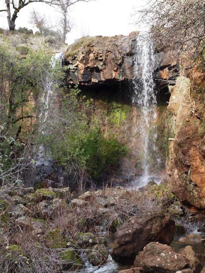 Bear Creek Falls Lodge On 67 Acres Creek & Waterfalls Millville ภายนอก รูปภาพ