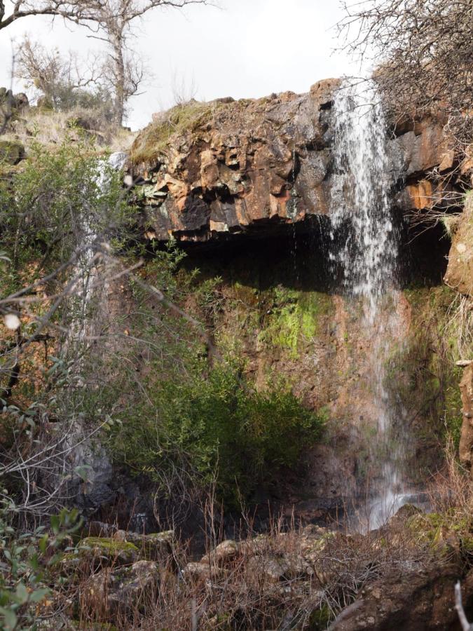 Bear Creek Falls Lodge On 67 Acres Creek & Waterfalls Millville ภายนอก รูปภาพ